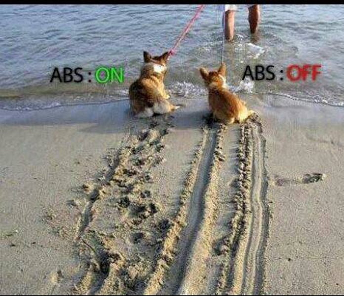 abs_or16.jpg